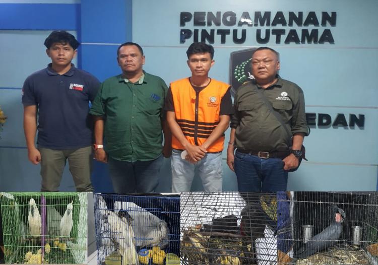 Tujuh Burung Dilindungi Diselamatkan, Pelaku Perdagangan Satwa Liar Ditahan di Medan