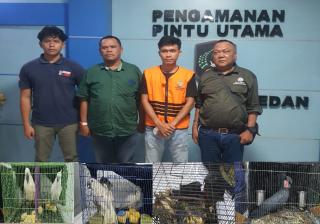 Tujuh Burung Dilindungi Diselamatkan, Pelaku Perdagangan Satwa Liar Ditahan di Medan