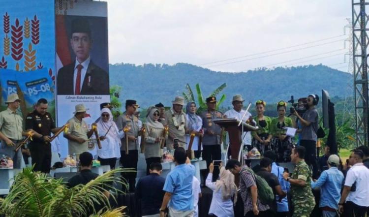 Panen Raya 753 Hektare di Carita, YBBN Perkuat Langkah Menuju Swasembada Pangan Nasional