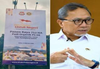Dari Desa untuk Negeri, Menko Pangan Hadiri Panen Raya 753 Hektare di Pandeglang