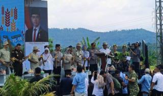 Panen Raya 753 Hektare di Carita, YBBN Perkuat Langkah Menuju Swasembada Pangan Nasional