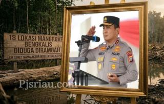 18 Lokasi Tambak Udang Bengkalis Dilaporkan ke Polda Riau, Kapolda Diminta Perusak Hutan Mangrove Diusut Tuntas