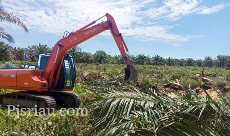 Kasus KPTBS Bengkalis Bergulir, Dugaan Penggelapan Rp4 Miliar dan Replanting Sepihak Disorot