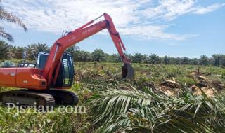Kasus KPTBS Bengkalis Bergulir, Dugaan Penggelapan Rp4 Miliar dan Replanting Sepihak Disorot