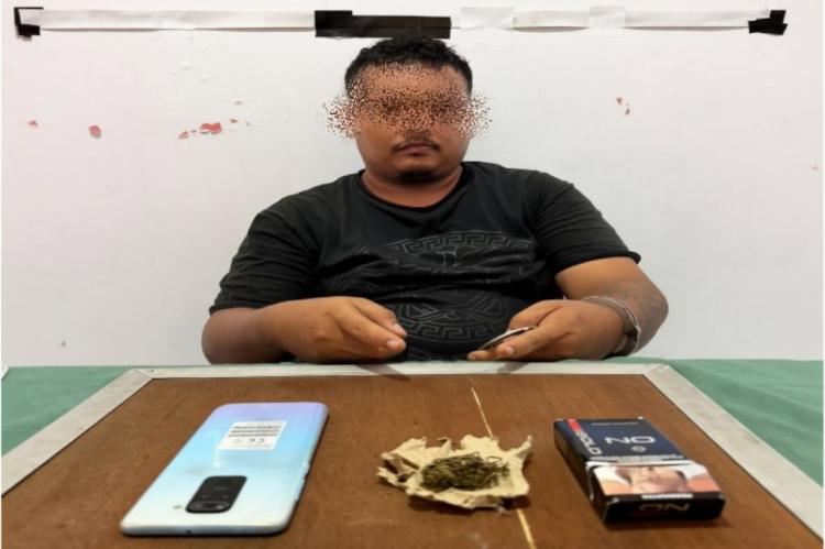 Satresnarkoba Polres Bengkalis Bekuk Terduga Pengedar Ganja di Bathin Solapan