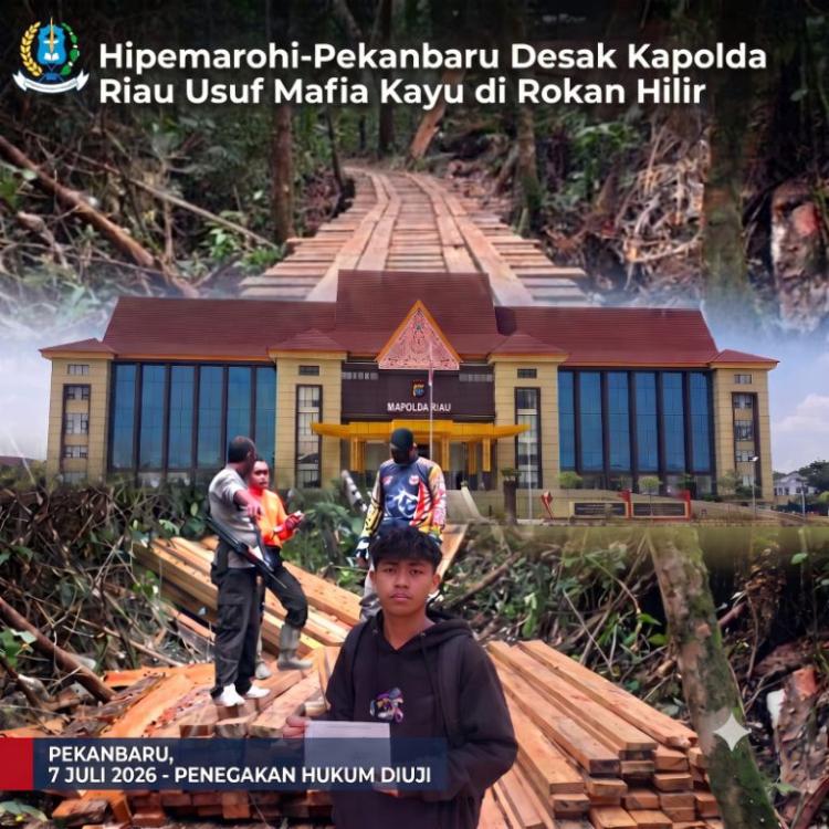 Uji Nyali Kapolda Riau: Dugaan Mafia Kayu Rokan Hilir Dilaporkan, HIPEMAROHI Tagih Ketegasan Ditreskrimsus